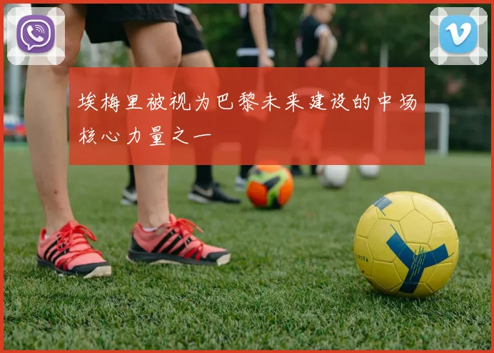 埃梅里被视为巴黎未来建设的中场核心力量之一